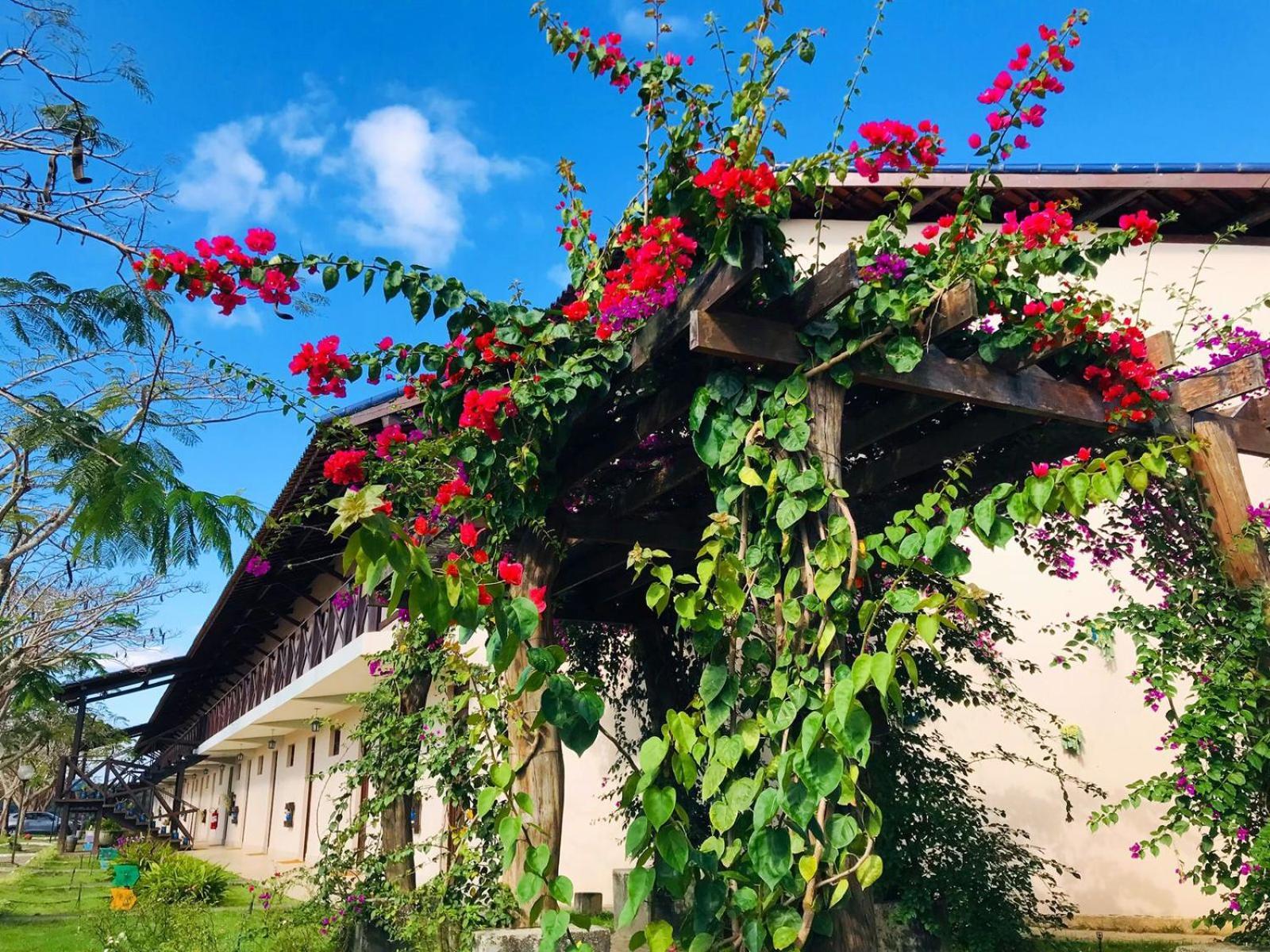 Hotel Fazenda Triunfo Areia