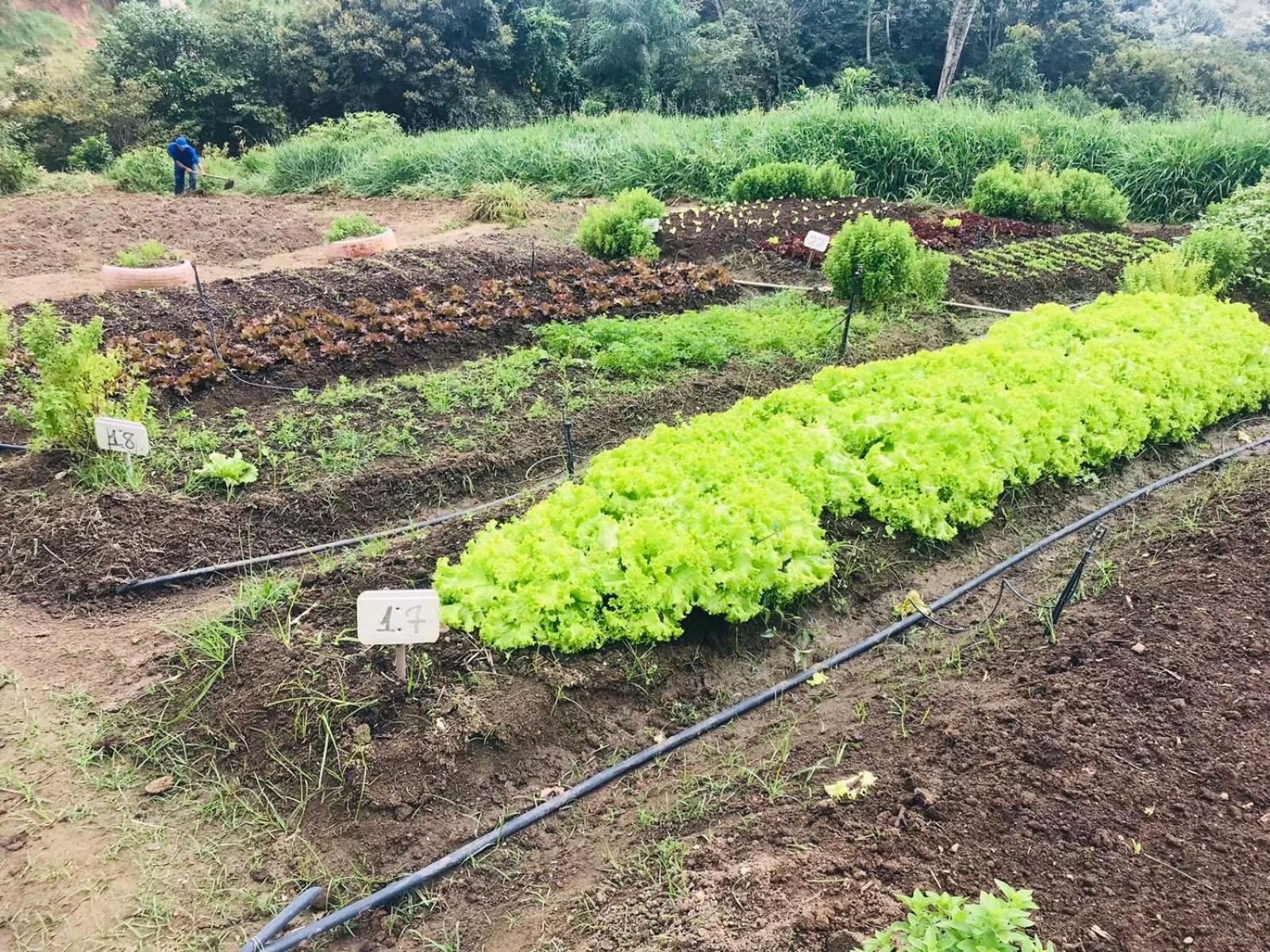 Fazenda Triunfo 3*