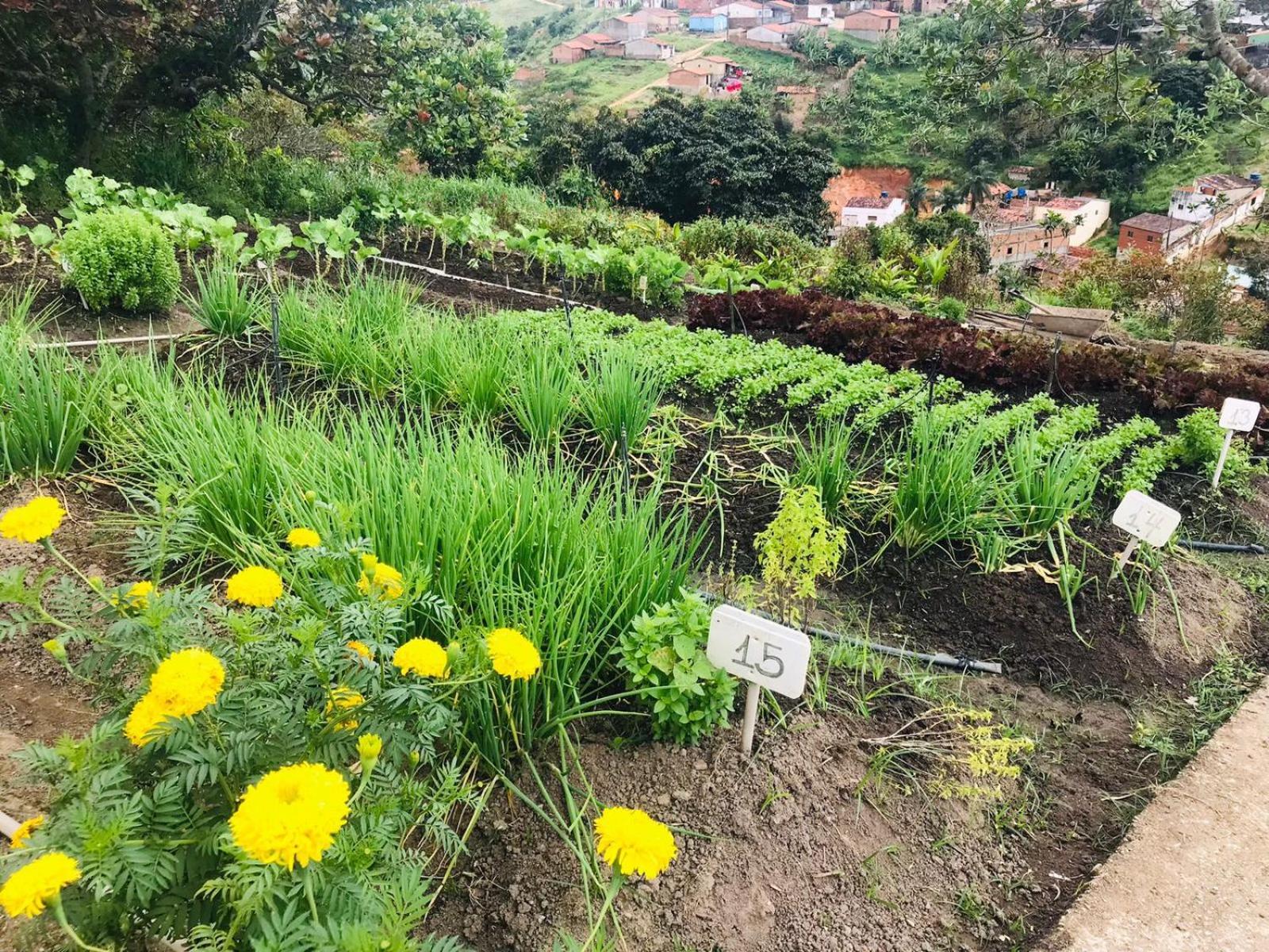 Hotel Fazenda Triunfo 3*